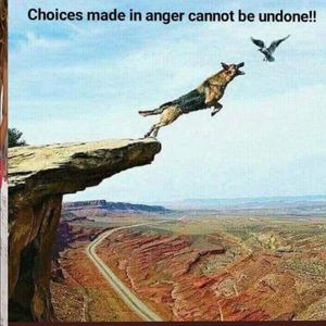 Trade with @rlcamejo